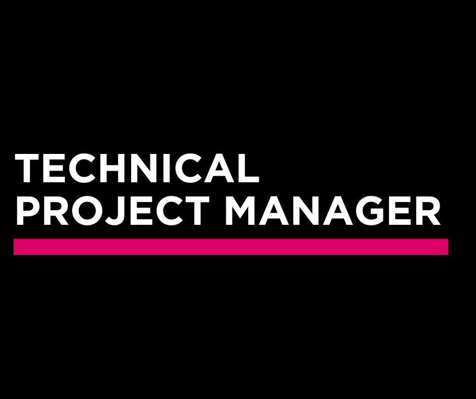 Technical Project Manger 