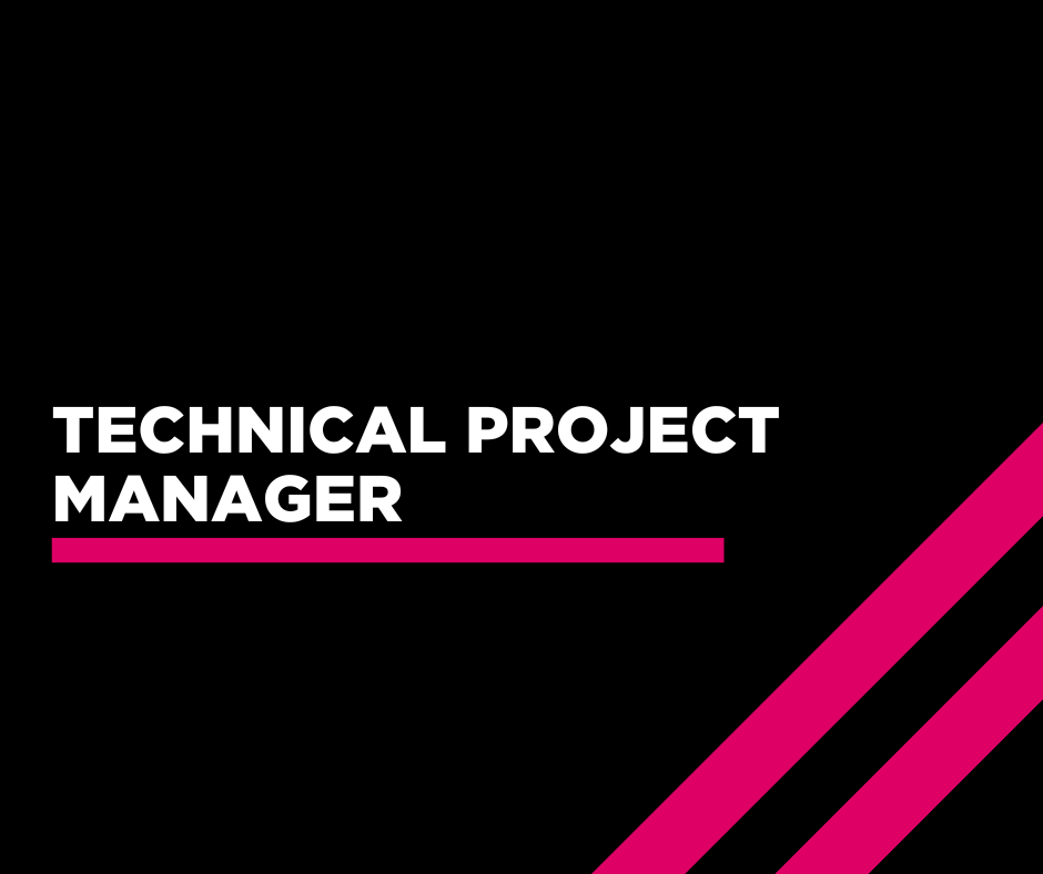 Technical Project Manager 