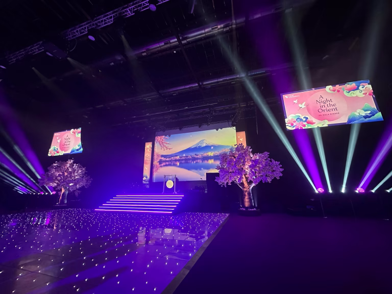 Corporate event picture